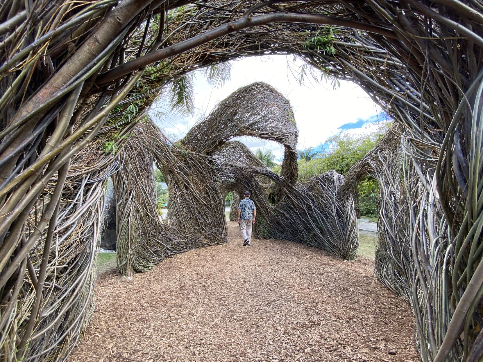 Wild About Willow 4. The undulating quality of Sea Change makes if feel as if its always been there..jpeg